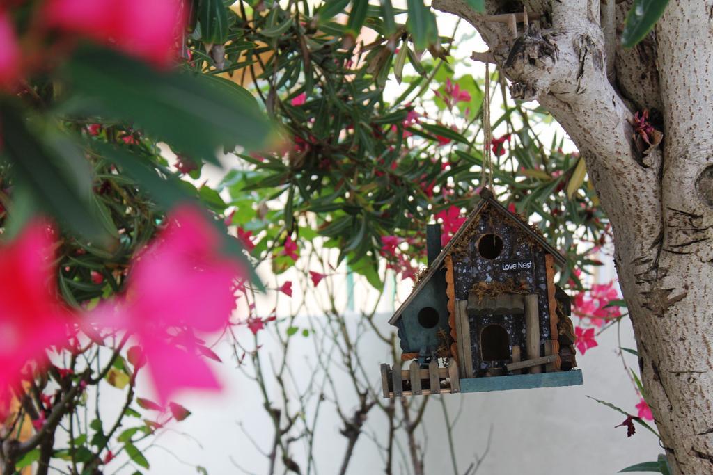 Biscuit B&B Pise Chambre photo